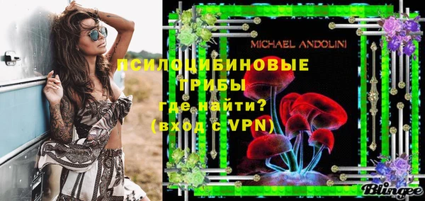 герыч Алексин