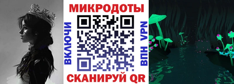 закладка  Аткарск  Псилоцибиновые грибы MAGIC MUSHROOMS 